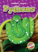 Pythons - Colleen Sexton