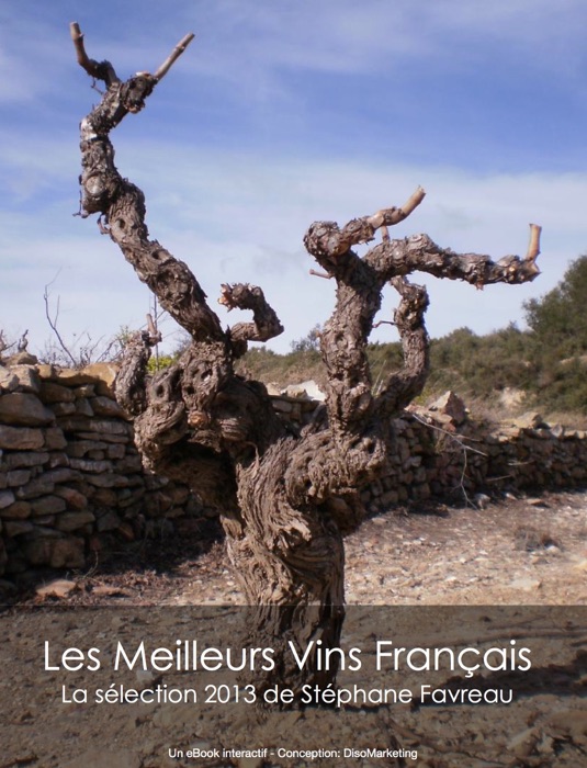 Les meilleurs vins Français