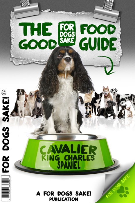 Cavalier King Charles Spaniel Good Food Guide