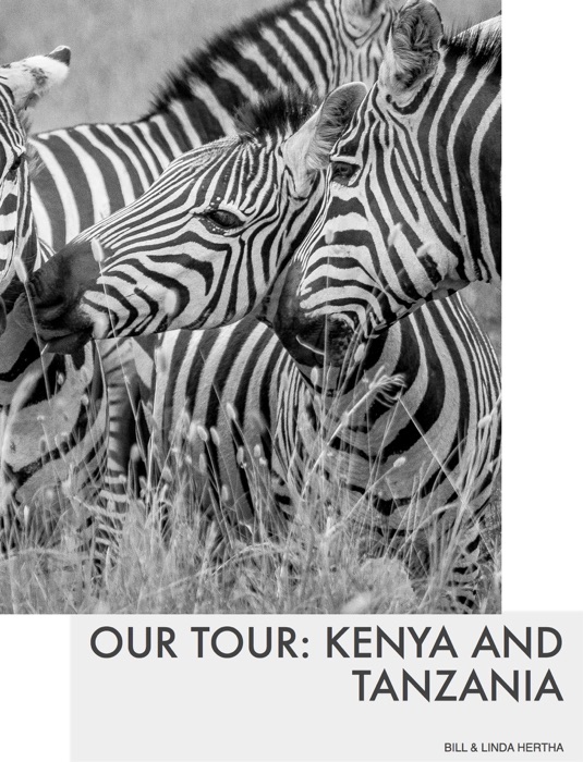 Our Tour: Kenya and Tanzania