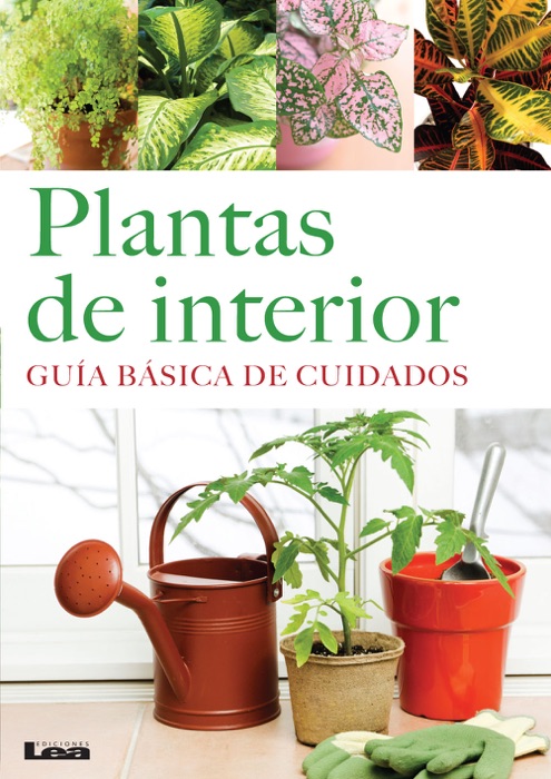 Plantas de interior