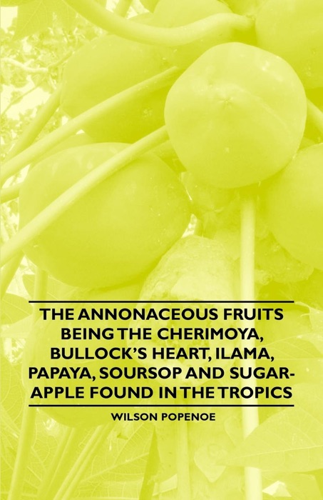 The Annonaceous Fruits Being the Cherimoya, Bullock's Heart, Ilama, Papaya, Soursop and Sugar-Apple Found In the Tropics