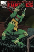Teenage Mutant Ninja Turtles #1