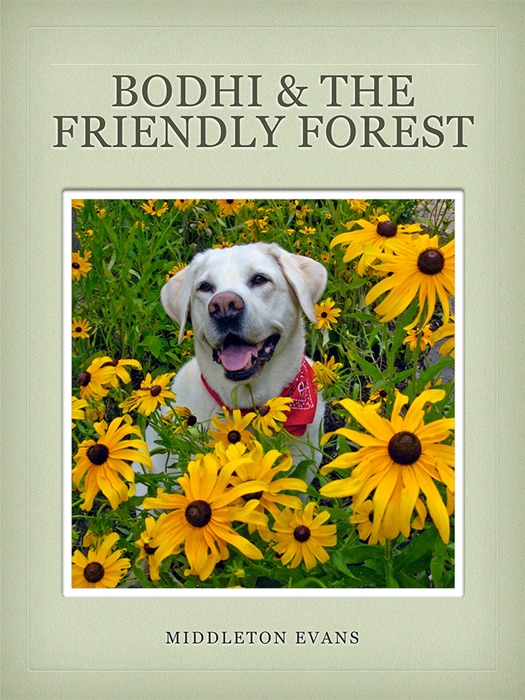 Bodhi & The Friendly Forest