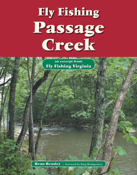 Fly Fishing Passage Creek