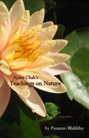 Ajahn Chah’s Teachings On Nature