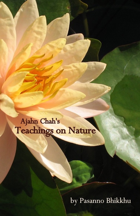 Ajahn Chah’s Teachings On Nature