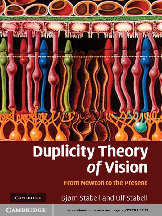 Duplicity Theory of Vision