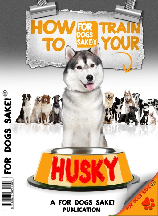 Training Your Husky