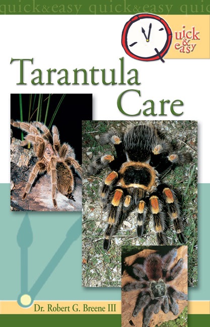 Quick & Easy Tarantula Care