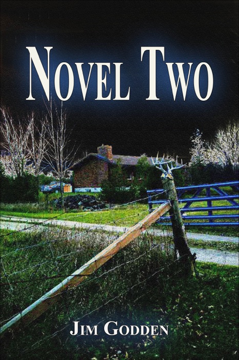 Novel Two