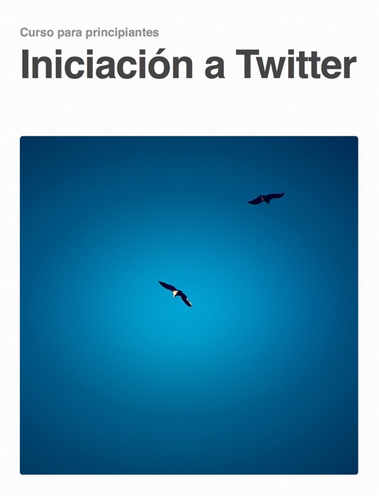 Iniciación a Twitter