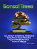 Bonsai Trees - Werner Jones