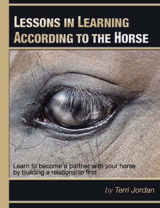 Lessons In Learning According to the Horse