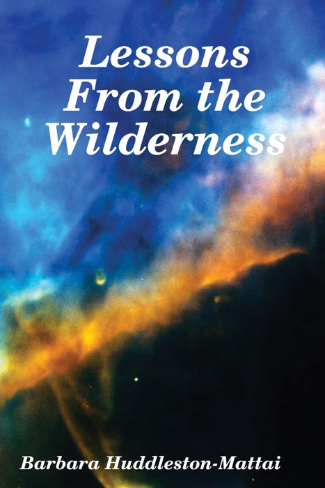 Lessons from the Wilderness