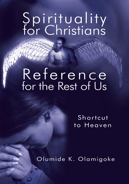 Spirituality For Christians Reference For The Rest Of Us