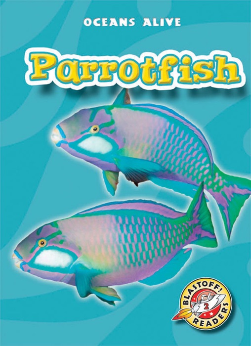 Parrotfish