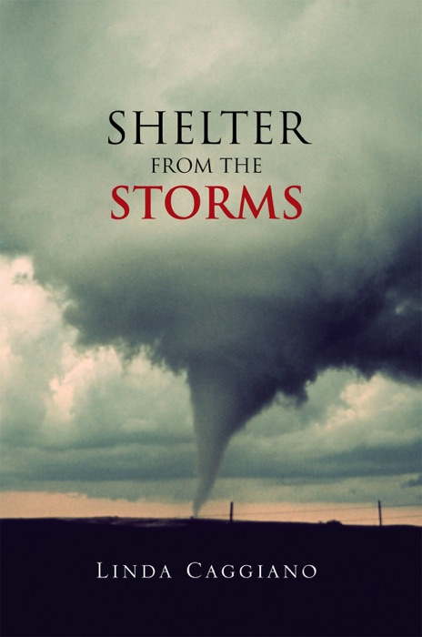 Shelter From The Storms