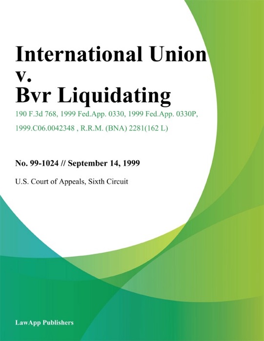 International Union V. Bvr Liquidating