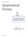 Anatomical Terms Anatomical Terms