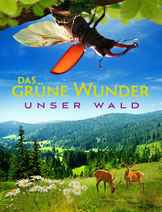 Das grüne Wunder - Unser Wald