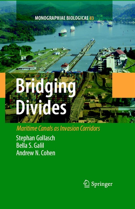 Bridging Divides