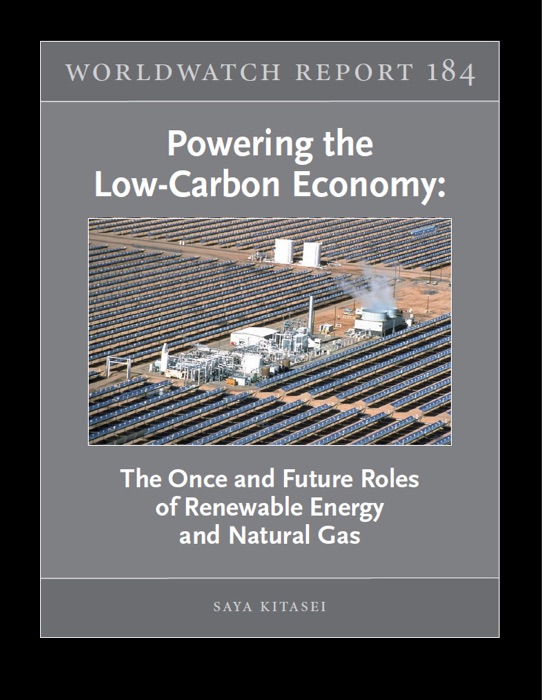 Powering the Low-Carbon Economy