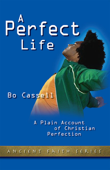 A Perfect Life - Bo Cassell