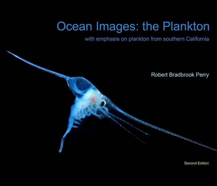Ocean Images:  the Plankton