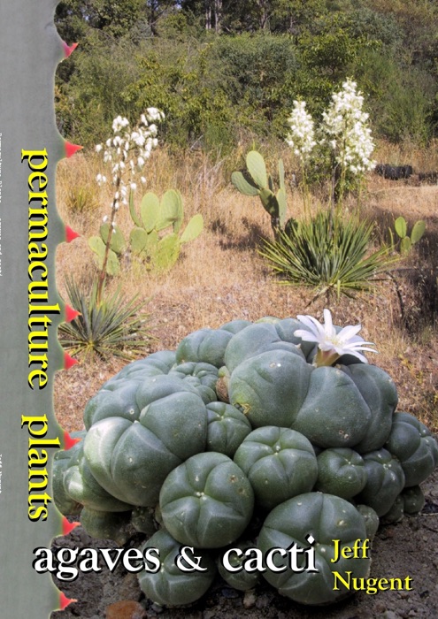 Permaculture Plants, Agaves and Cacti
