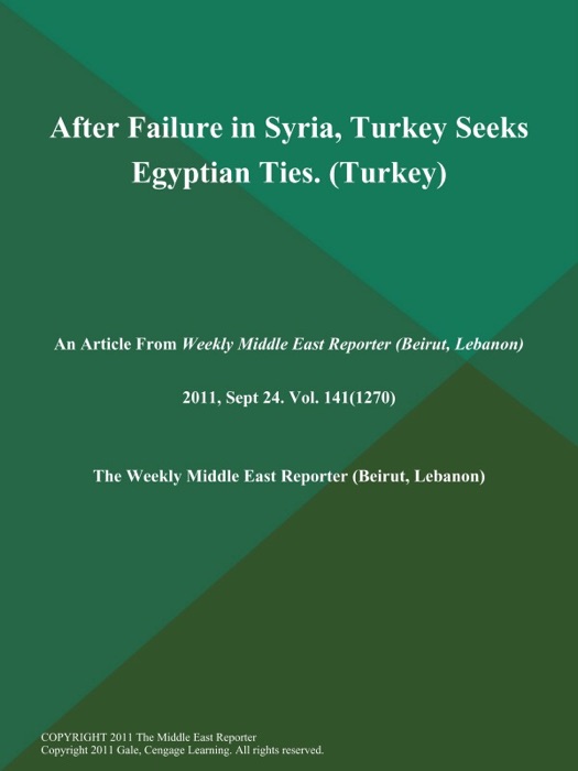 After Failure in Syria, Turkey Seeks Egyptian Ties (Turkey)