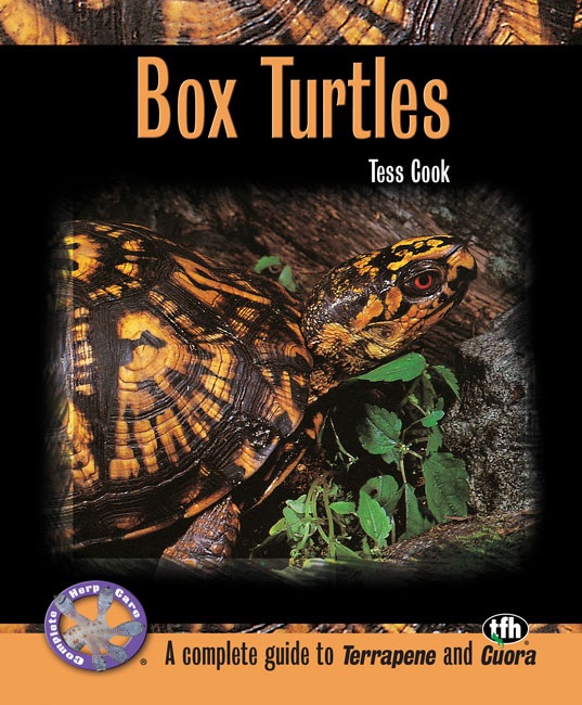 Box Turtles