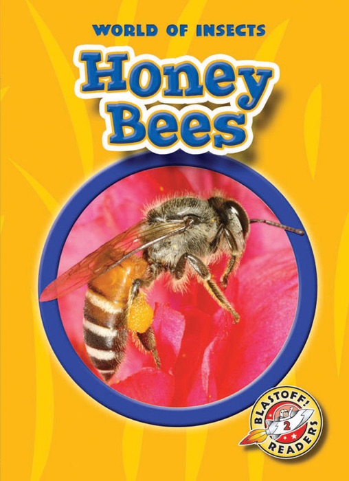 Honey Bees