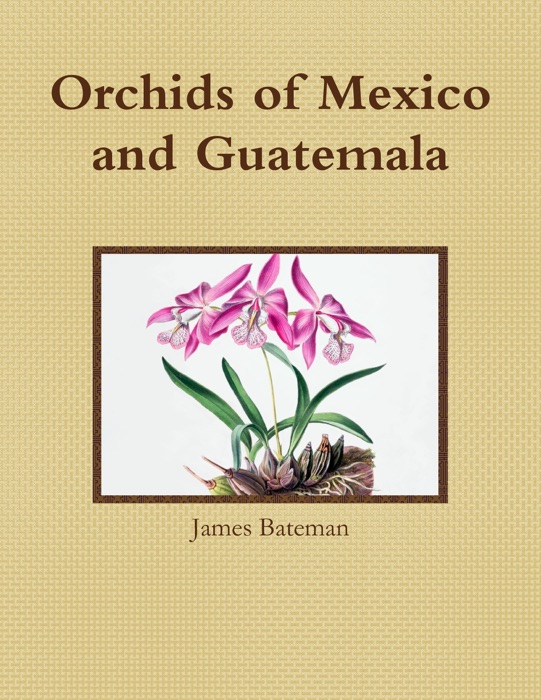 Orchids of Mexico and Guatemala