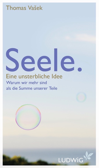 Seele. Eine unsterbliche Idee