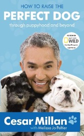 Book's Cover of How to Raise the Perfect Dog