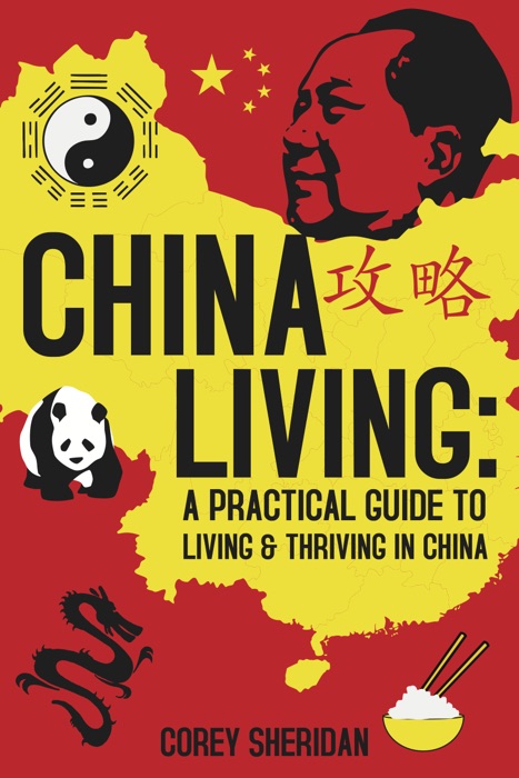 China Living: A Practical Guide to Living & Thriving in China