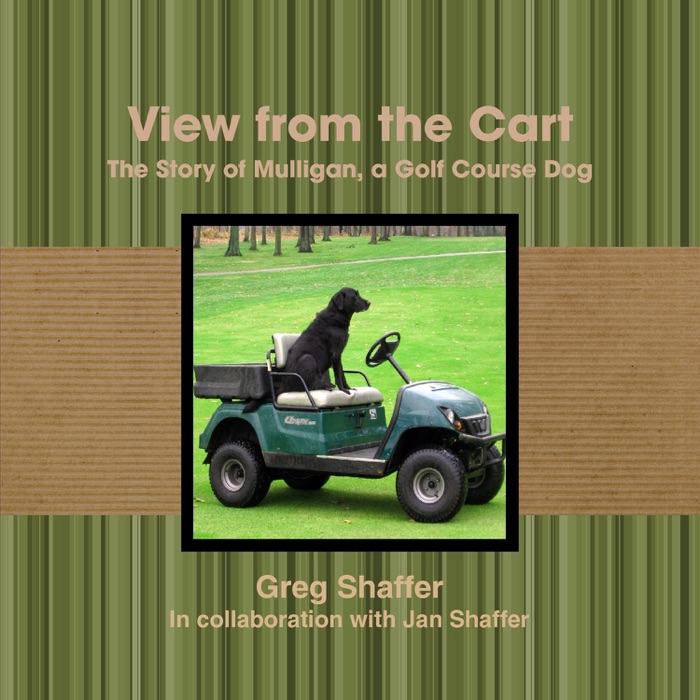 View from the Cart