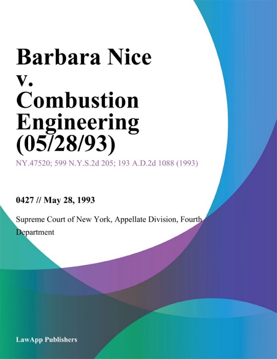 Barbara Nice v. Combustion Engineering