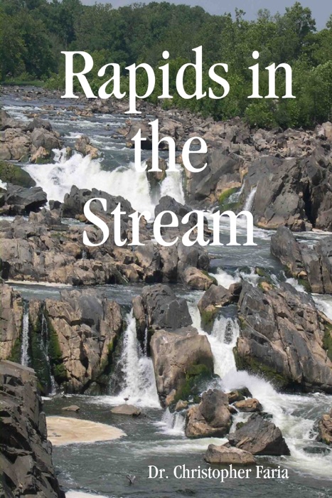 Rapids In the Stream