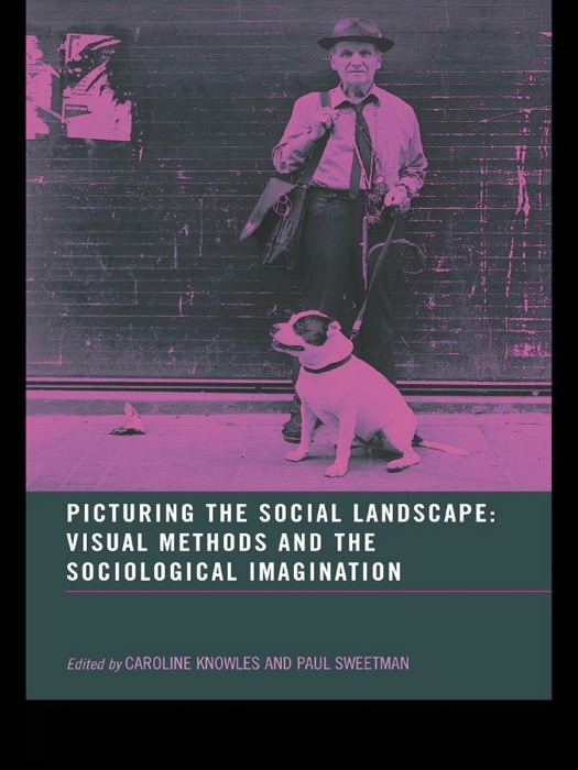 Picturing the Social Landscape