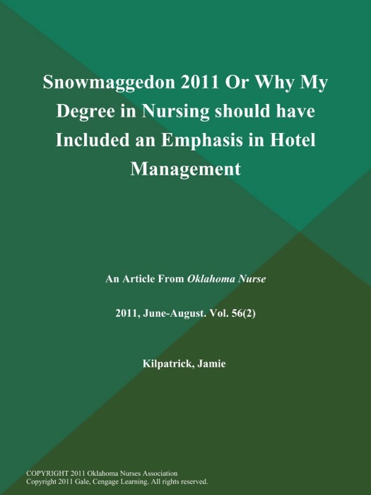 Snowmaggedon 2011 Or Why My Degree in Nursing should have Included an Emphasis in Hotel Management