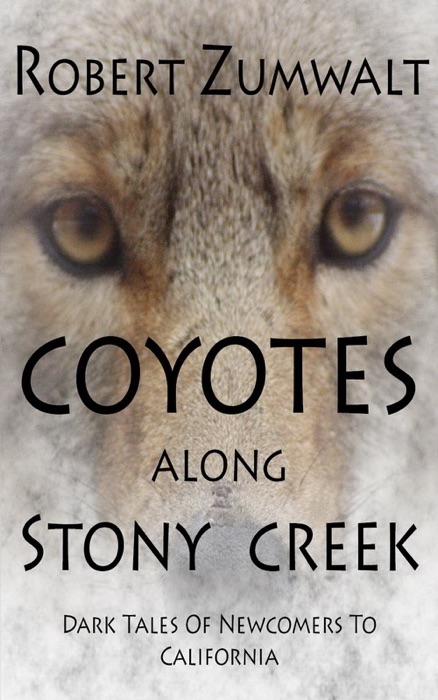 Coyotes Along Stony Creek