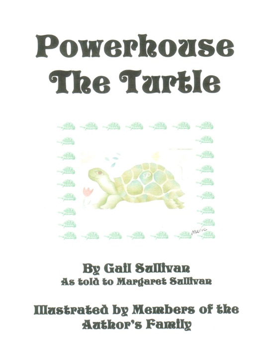 Powerhouse the Turtle