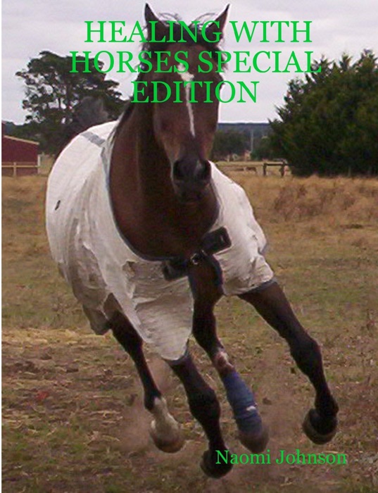 Healing With Horses Special Edition