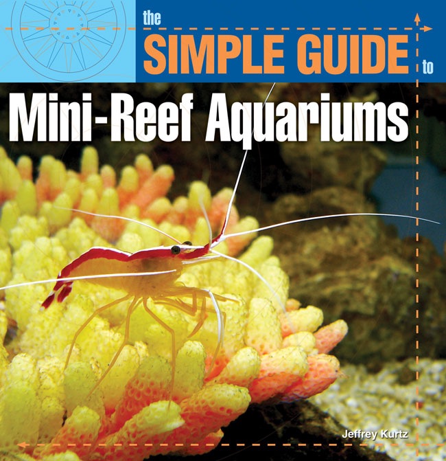 Simple Guide to Mini-Reef Aquariums