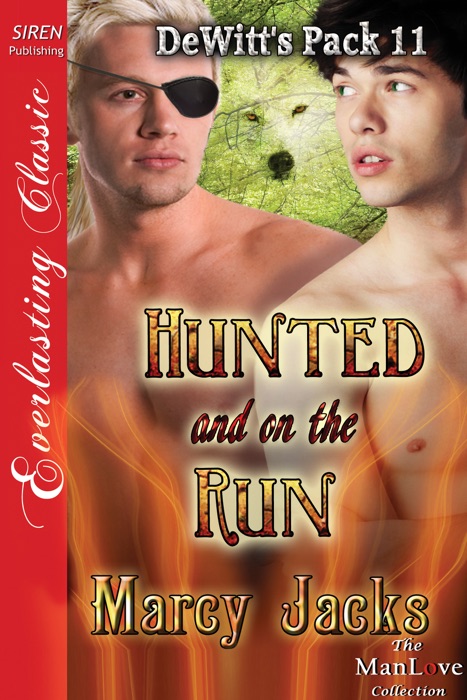 Hunted and on the Run [DeWitt's Pack 11]
