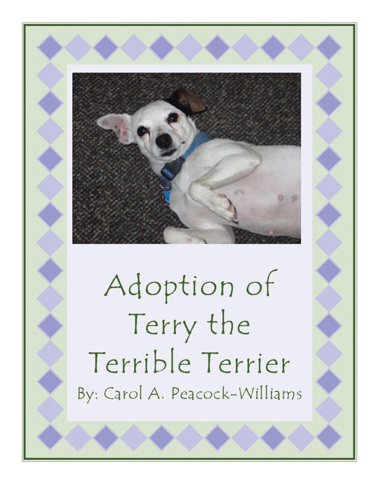 Adoption of Terry the Terrible Terrier