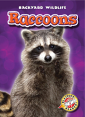 Raccoons - Emily Green