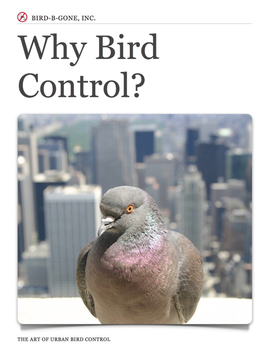 Why Bird Control?